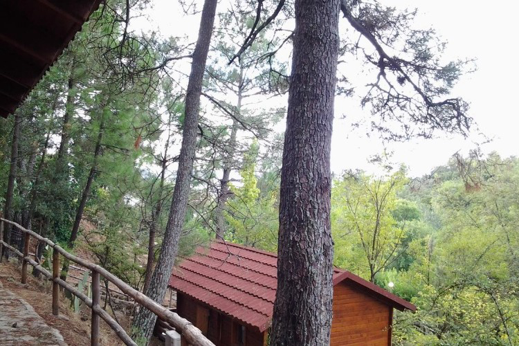 La Eliza Castille-et-León - Lanzahíta visuel 7/8