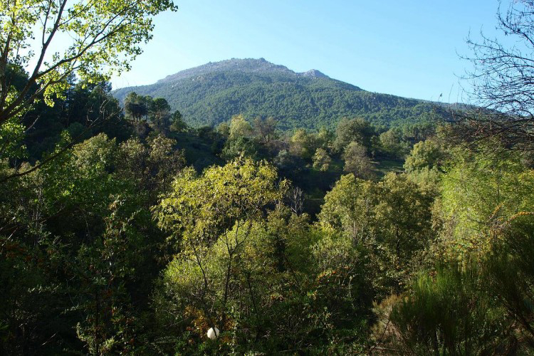 La Eliza Castille-et-León - Lanzahíta visuel 2/8