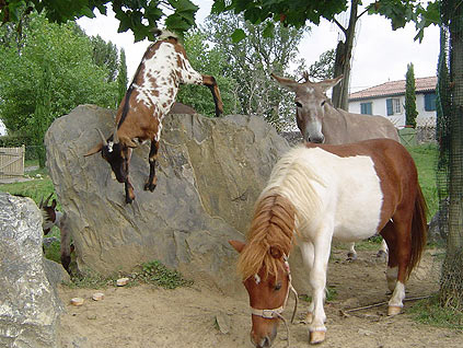 La Ferme des 4 Chênes Aquitaine - Urt visuel 6/7