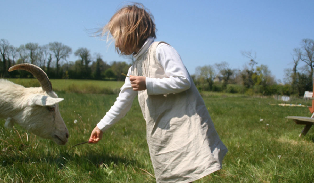 La Ferme de la Folivraie Basse-Normandie - Louvières visuel 1/4