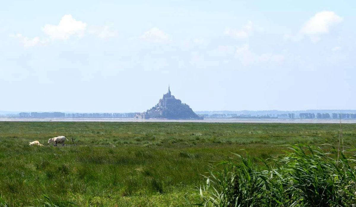 La Ferme de la Moriciere Basse-Normandie - Sartilly visuel 1/5 La Ferme de la Moriciere Basse-Normandie - Sartilly visuel 1/5