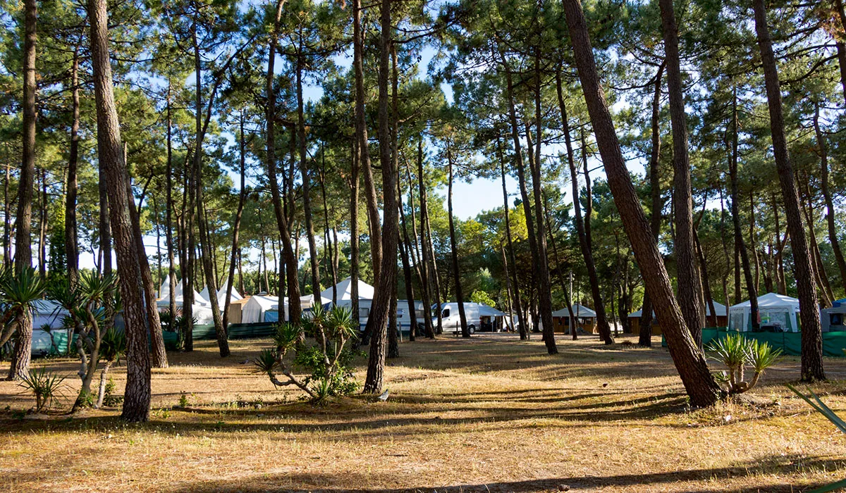 Camping La Grande Côte Pays de Loire - La Barre-de-Monts visuel 5/24