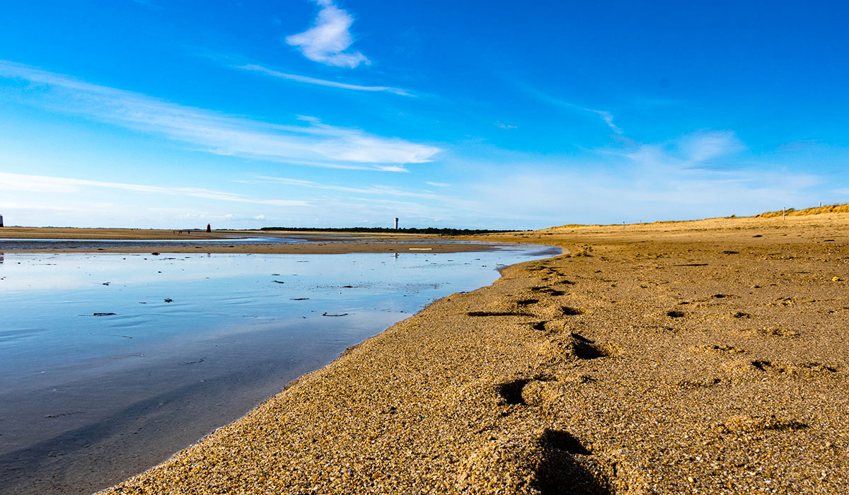 La Grande Côte Pays de Loire - La Barre-de-Monts visuel 4/24