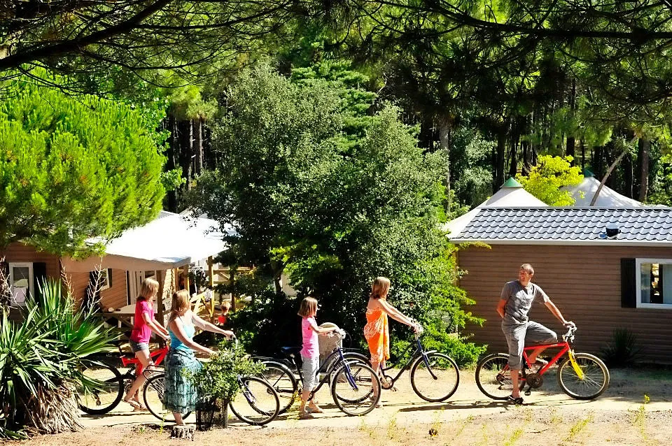 Camping La Grande Côte Pays de Loire - La Barre-de-Monts visuel 19/24