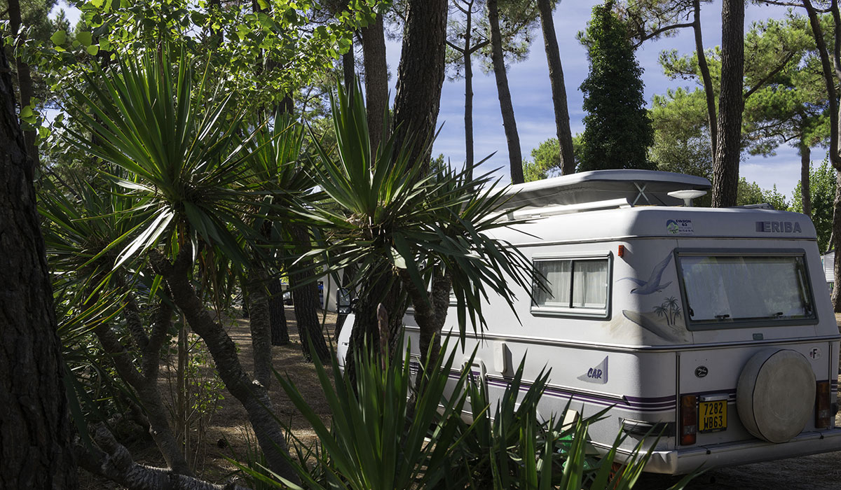 La Grande Côte Pays de Loire - La Barre-de-Monts visuel 11/24