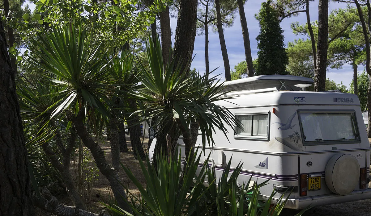 Camping La Grande Côte Pays de Loire - La Barre-de-Monts visuel 11/24