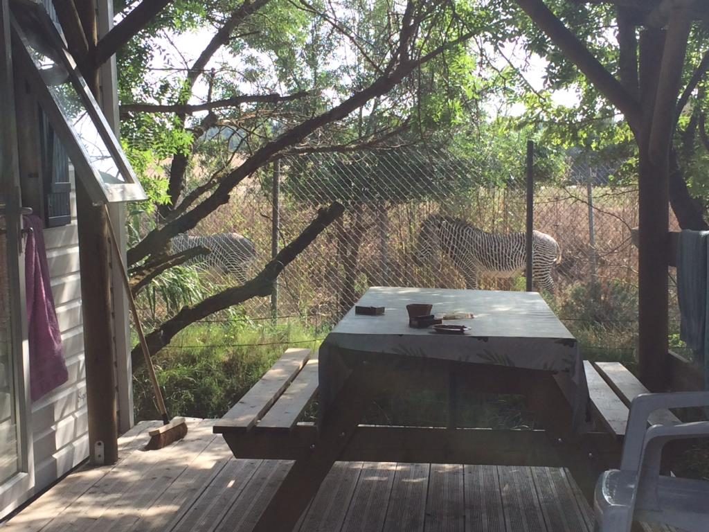 La Grange Neuve Languedoc-Roussillon - Sigean visuel 6/8