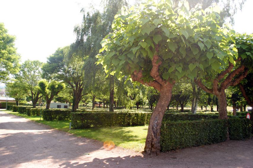 La Graviere Auvergne - Saint-Yorre visuel 1/1