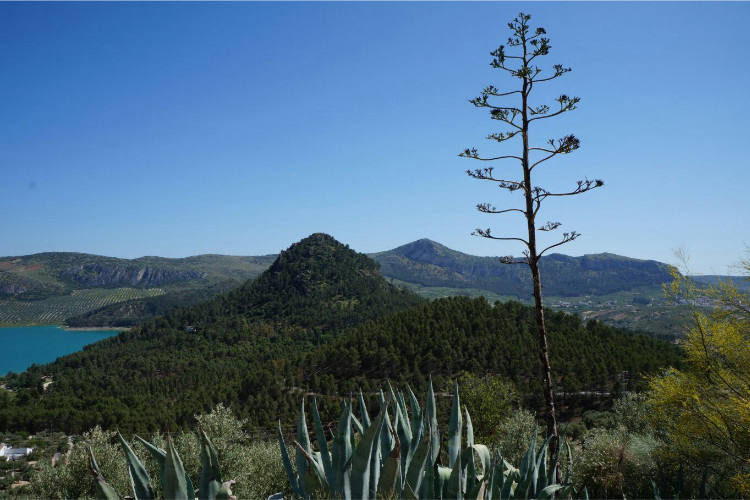 La Isla Andalousie - Rute visuel 7/8
