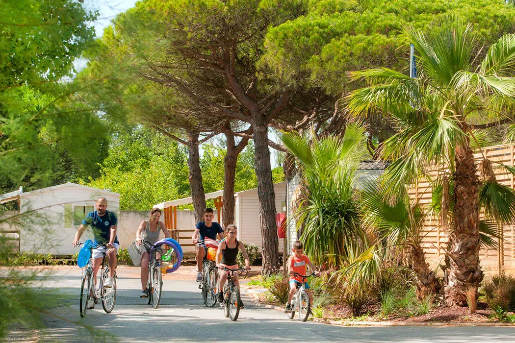 Camping La Marine Languedoc-Roussillon - Le Grau-du-Roi visuel 10/12