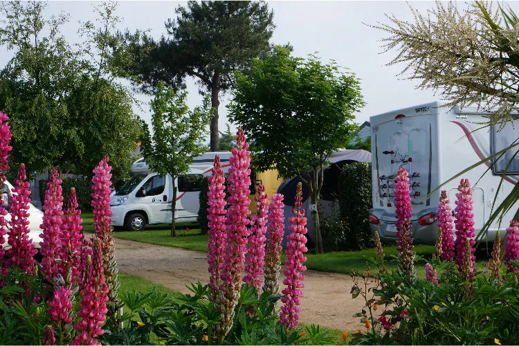 Camping La Plage Basse-Normandie - Fermanville visuel 3/7