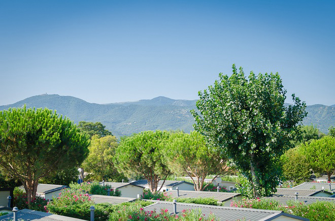 La Plage Languedoc-Roussillon - Argelès-sur-Mer visuel 2/6