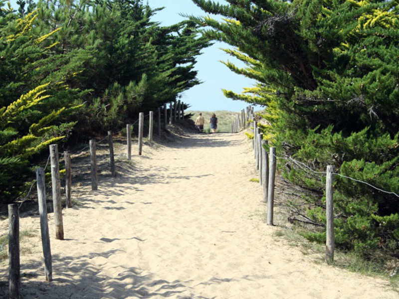 La Prairie Pays de Loire - Saint-Hilaire-de-Riez visuel 8/15