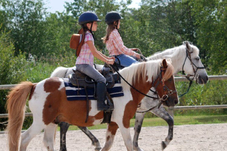 La Rotonde Le Village Western - Aquitaine - Hourtin visuel 8/13