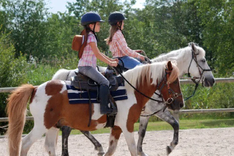 Camping Le Village Western Aquitaine - Hourtin visuel 8/13