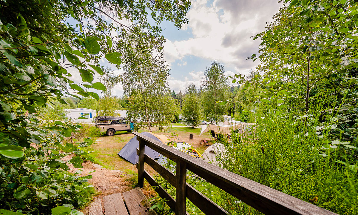 La Sténiole Lorraine - Granges-sur-Vologne visuel 21/32