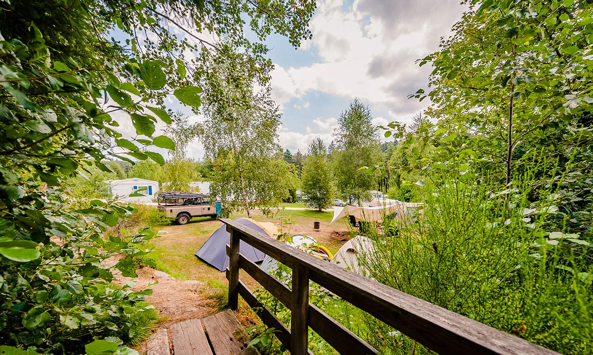 Camping La Sténiole Lorraine - Granges-sur-Vologne visuel 21/32