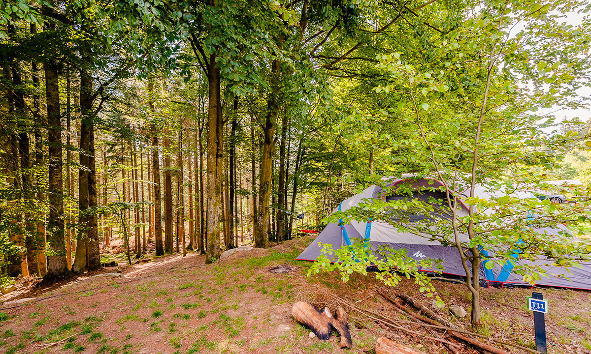 La Sténiole Lorraine - Granges-sur-Vologne visuel 20/32