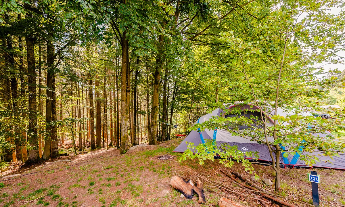 Camping La Sténiole Lorraine - Granges-sur-Vologne visuel 20/32