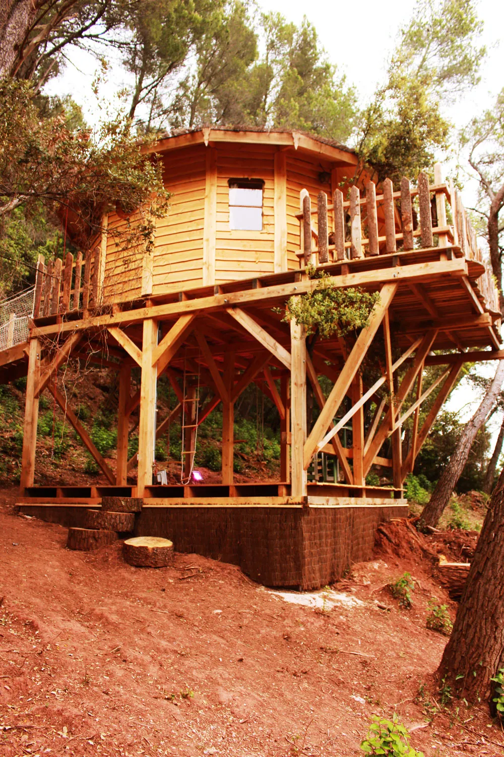 Camping La Tuilière Provence-Alpes-Côte d'Azur - Carnoules visuel 4/5