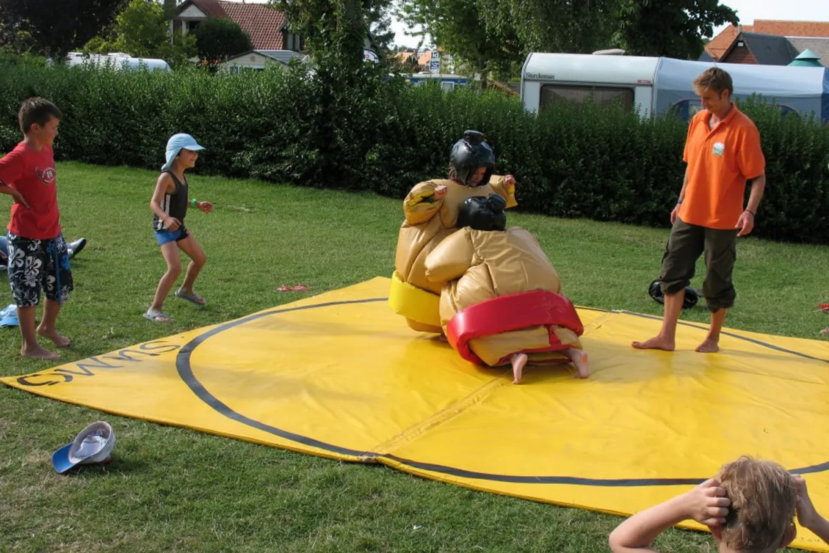 Camping La Vallée Basse-Normandie - Houlgate visuel 15/27