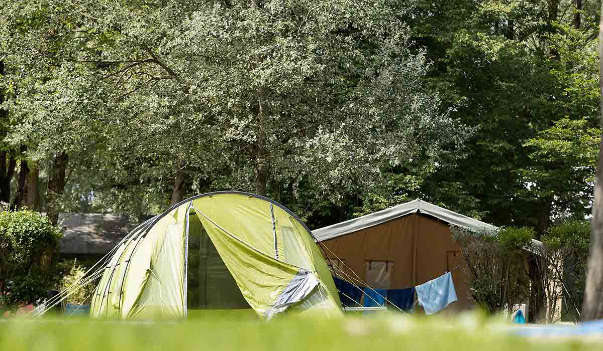 Lac d'Orient Champagne-Ardennes - Mesnil-Saint-Père visuel 11/15 Lac d'Orient Champagne-Ardennes - Mesnil-Saint-Père visuel 11/15