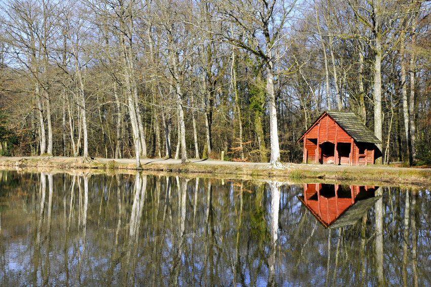 Lac de Sillé Pays de Loire - Sillé-le-Guillaume visuel 1/1