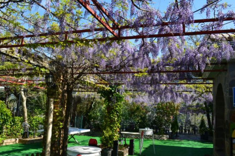 Las Lomas Andalousie - Güejar Sierra visuel 6/10
