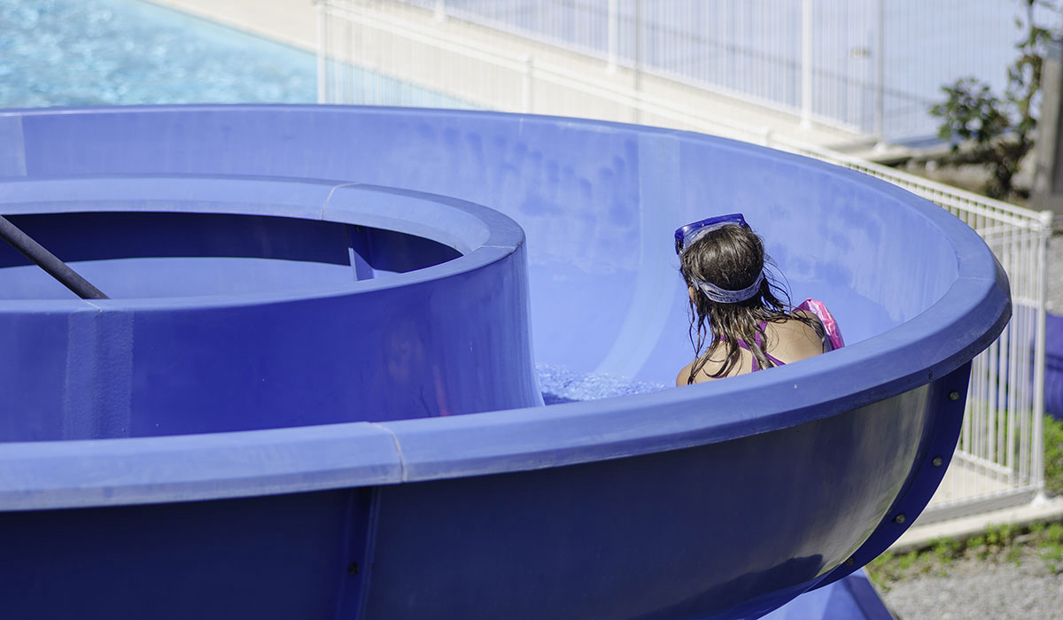 Le Bois Combet et Le Merle Limousin - Chamberet visuel 2/4