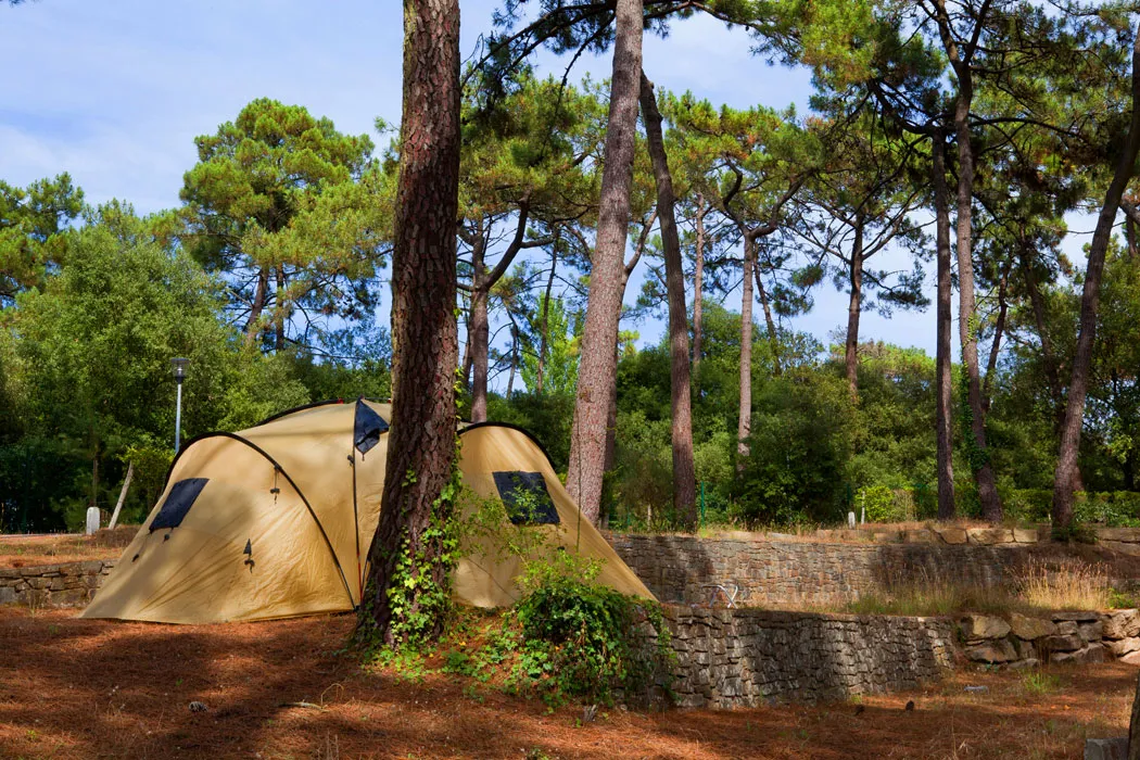 Camping Le Bois d'Amour Pays de Loire - La Baule-Escoublac visuel 5/17