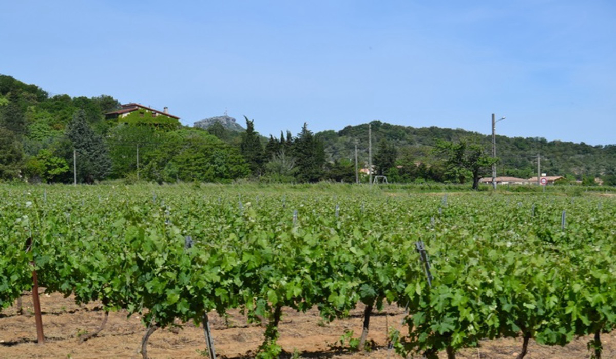 Le Casque Roi Rhône-Alpes - Salavas visuel 7/9