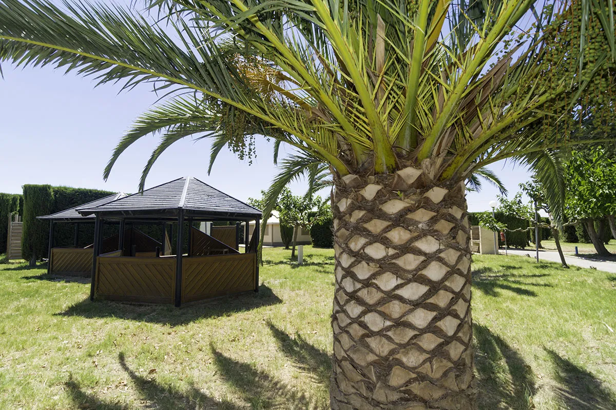Camping Le Cers Languedoc-Roussillon - Saint-Laurent-de-la-Salanque visuel 5/6