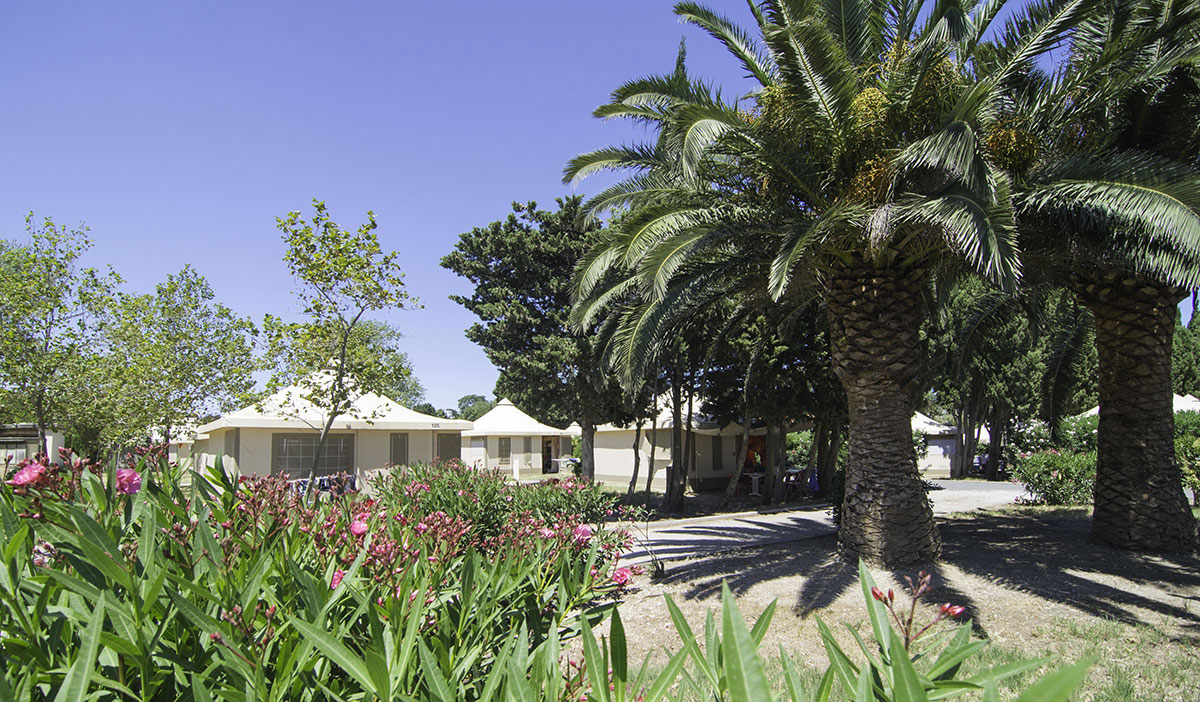 Le Cers Languedoc-Roussillon - Saint-Laurent-de-la-Salanque visuel 1/6