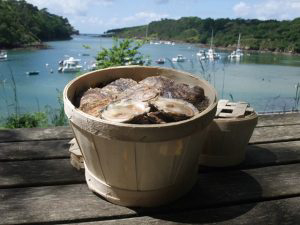 Le Chateau De Belon Bretagne - Riec-sur-Bélon visuel 1/1