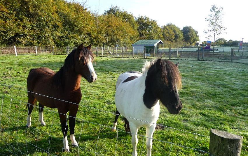 Le Clos du Moulin Pays de Loire - La Bernerie-en-Retz visuel 11/14
