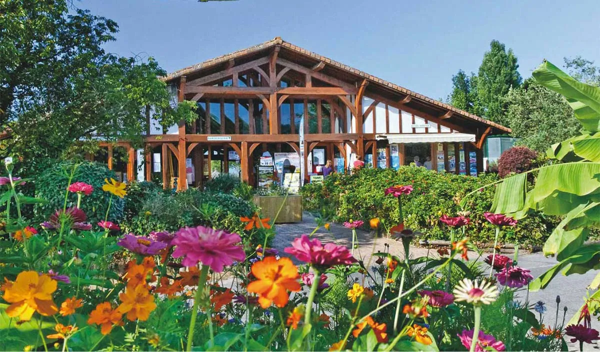 Camping Le Col Vert Aquitaine - Vielle-Saint-Girons visuel 15/26