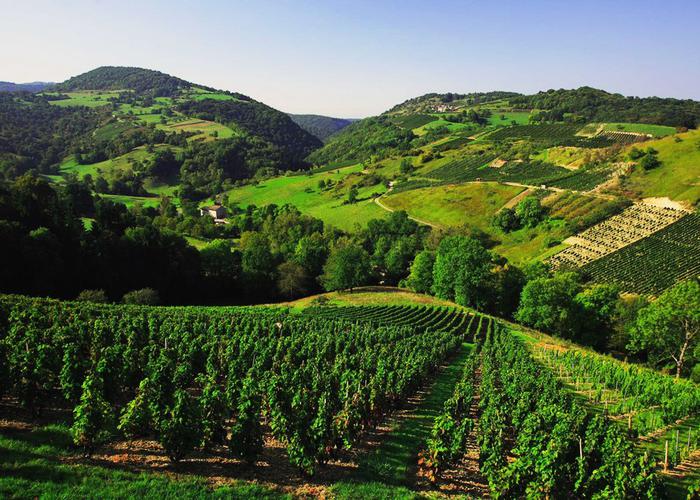 Le Colombier Rhône-Alpes - Culoz visuel 6/12 Le Colombier Rhône-Alpes - Culoz visuel 6/12