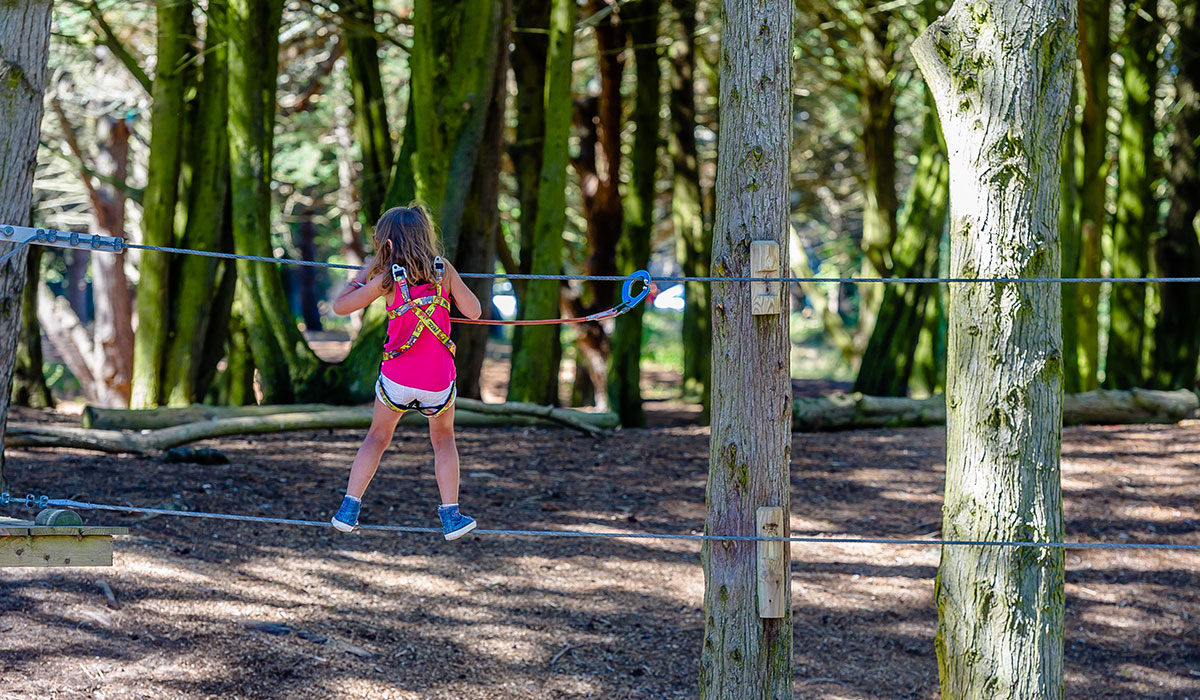 Le Conguel Bretagne - Quiberon visuel 9/12