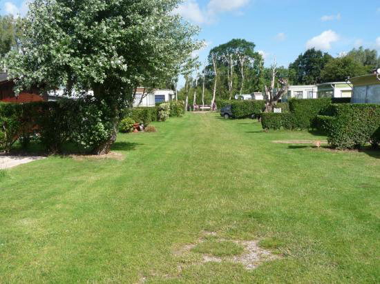 Le Courtil Rose Nord-Pas de Calais - Brêmes visuel 1/1 Le Courtil Rose Nord-Pas de Calais - Brêmes visuel 1/1