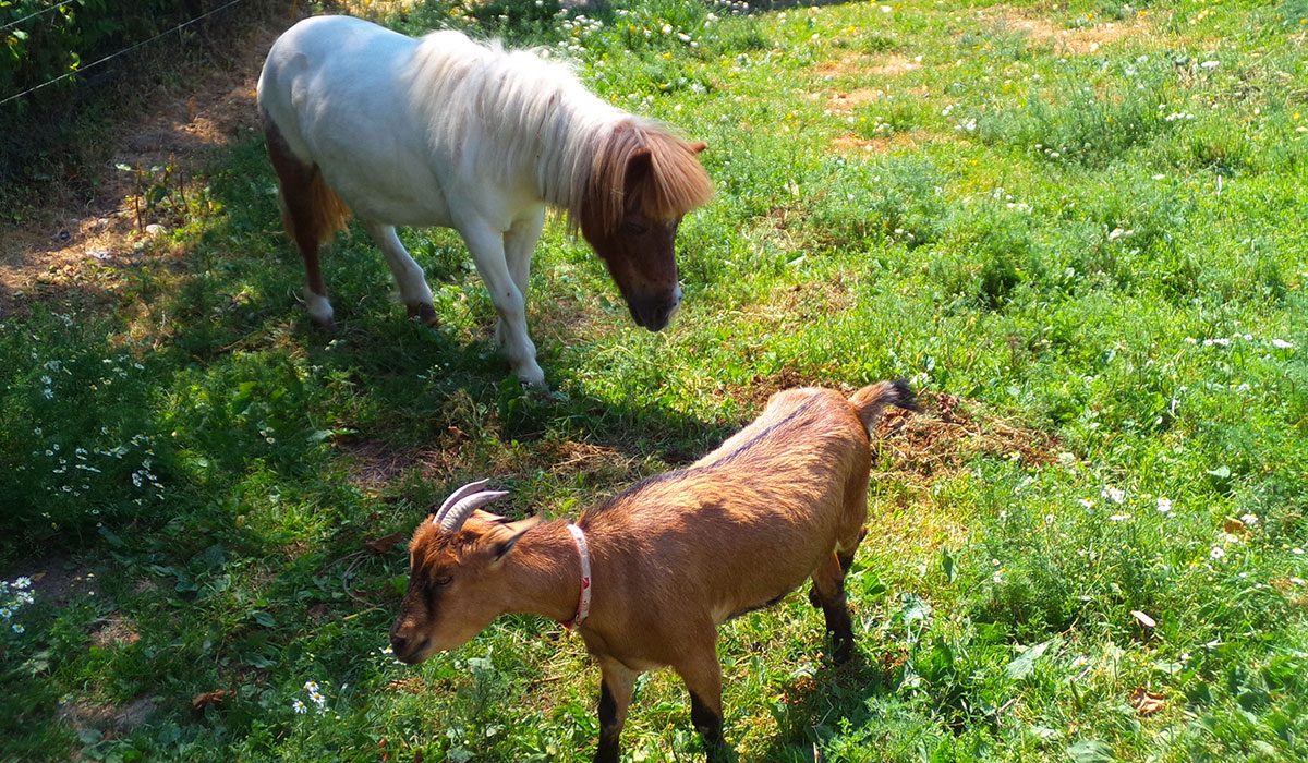 Le Creulet Basse-Normandie - Crouay visuel 2/3