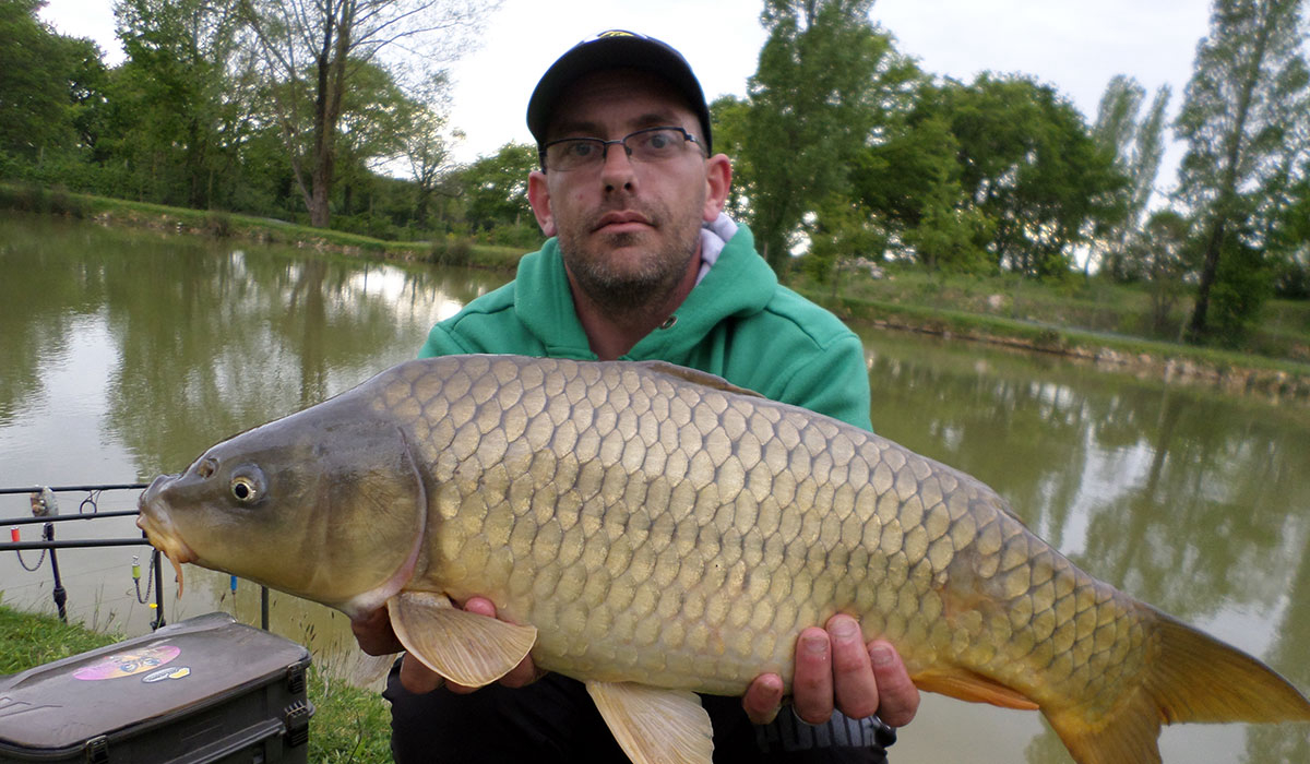 Le Domaine de Bellevue Pays de Loire - Saint-Christophe-du-Ligneron visuel 7/15