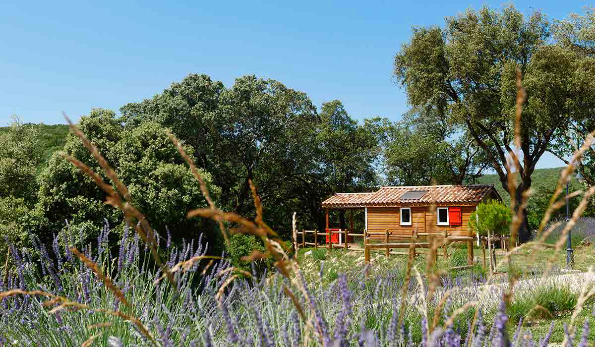 Domaine de Sévenier et Spa Rhône-Alpes - Lagorce visuel 13/16