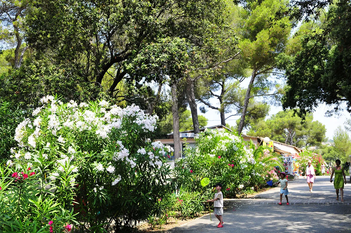 Camping La Plage du Dramont Provence-Alpes-Côte d'Azur - Agay visuel 12/12