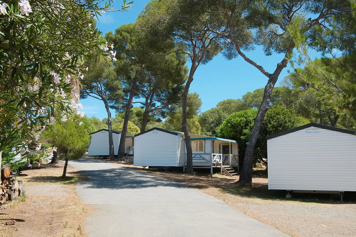 Camping La Plage du Dramont Provence-Alpes-Côte d'Azur - Agay visuel 9/12
