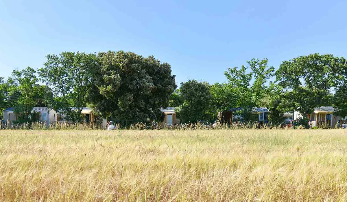Camping Le Garrigon Provence-Alpes-Côte d'Azur - Grillon visuel 10/14