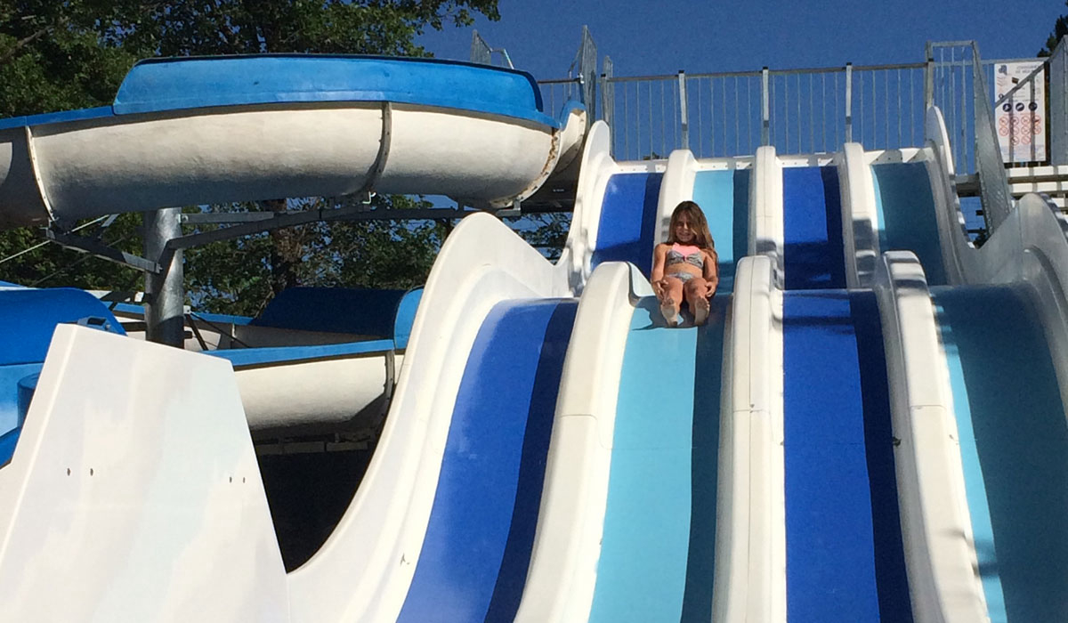 Le Jas du Moine Provence-Alpes-Côte d'Azur - Salignac visuel 5/12