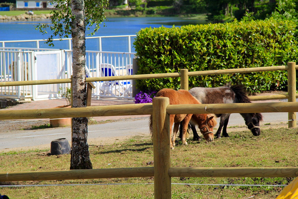 Le Lac Bretagne - Carnac visuel 14/17