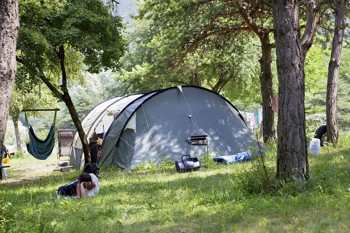Camping Le Lac Provence-Alpes-Côte d'Azur - Saint-Vincent-les-Forts visuel 10/16