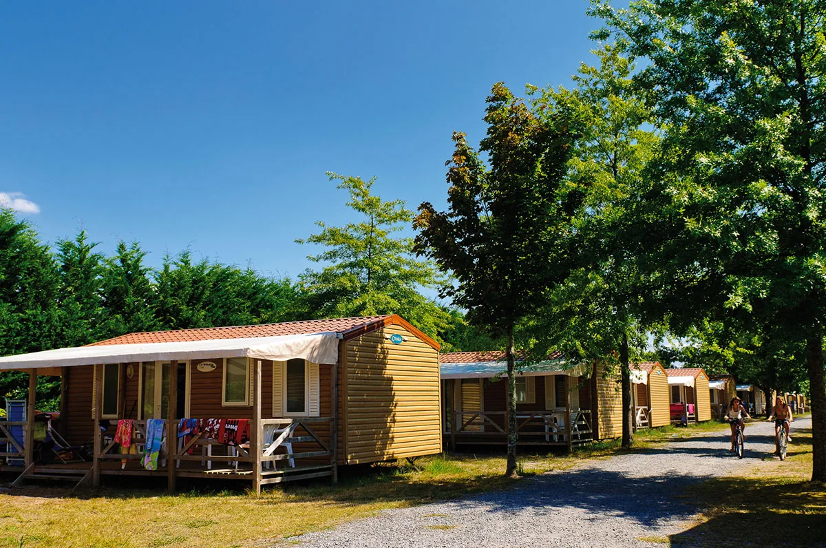 Camping Le Lac de Sanguinet Aquitaine - Sanguinet visuel 9/11