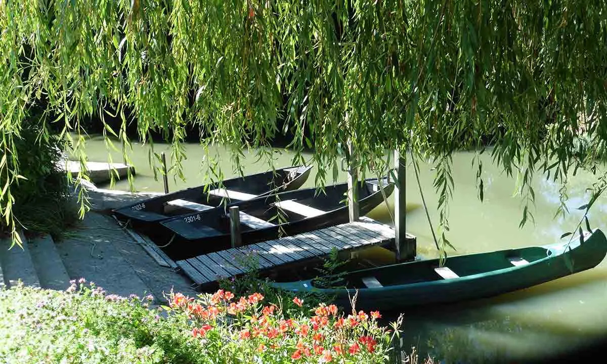 Camping Le Lidon Poitou-Charentes - Saint-Hilaire-la-Palud visuel 14/20